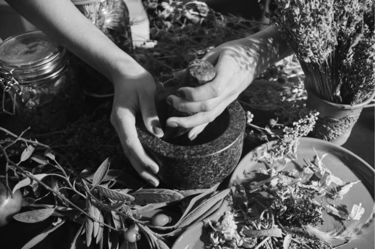 Utiliser les plantes sauvages dans ma pratique - Niveau 2 -