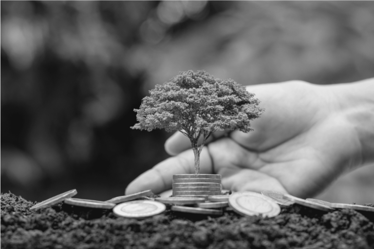 Economie circulaire et achats responsables. Formation à destination des entreprises du Pays Basque