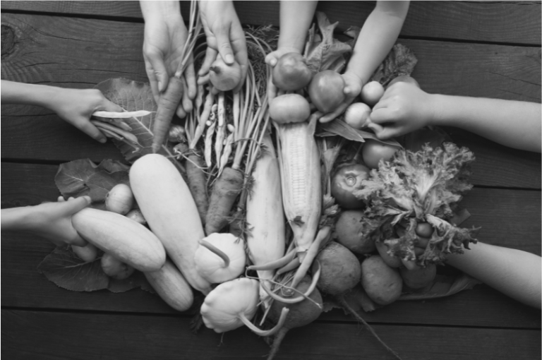 Alimentation durable au service de notre territoire. Formation Ecoresponsabilité au travail avec l'organisme Bihar à Bayonne