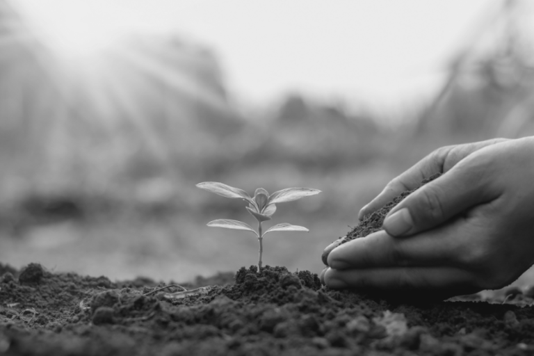 conception et gestion des espaces verts - biodiversité au pays basque