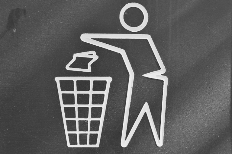 Formation la Fresque des Déchets. Proposée par les carrioles vertes en partenariat avec l'institut Bihar à Bayonne